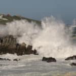 Day 16: Gansbaai, Grootbos Private Nature Reserve