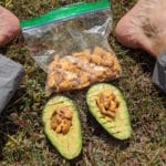 What's for lunch? 40+ favorite ideas