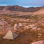 Update on 2021 trip availability