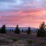 76 testimonials about our 2020 guided trips