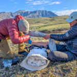 Wilderness First Aid