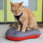 Review: Sierra Designs Animas Pillow || Comfortable 2.1-oz inflatable for $25