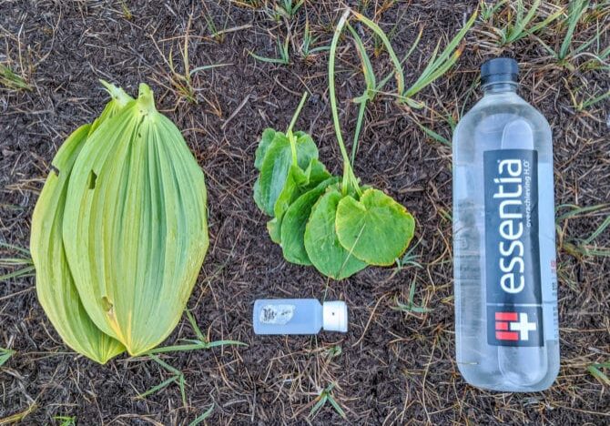 natural-materials-leaves