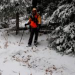 Notes for next elk hunt: Tips on strategy, location, shooting & dressing