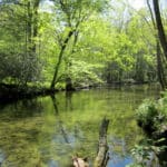 Thought it impossible: Wildfires close 140 miles of the Appalachian Trail