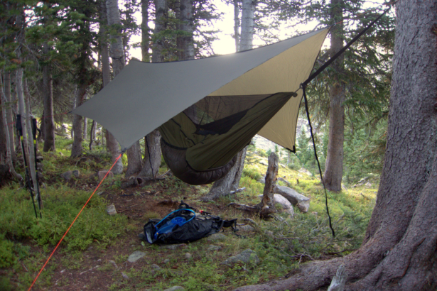 Anchored to a bomber spruce and sub-alpine fir in the Indian Peaks, in an established campsite.