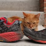 Help me decide: Hoka Speedgoat 2 or Salomon Sense Ultra for UTMB?