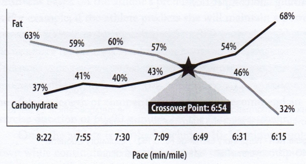Example of a runner's metabolic efficiency at various intensity levels (pace)