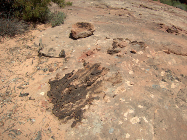 The practice is discouraged, but out of curiosity I experimented with smearing in a remote location in southern Utah. When I returned to the site four days later, the poop was baked to a crisp and presumably sterilized by the intense sun.
