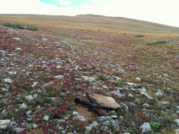 A rolled rock at 11,500 feet in the Colorado Rockies. To dig a cathole in this hardpan, you'd need a 5-lb pick mattock.