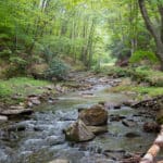 Gear list: West Virginia & Appalachians in May