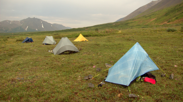 An assortment of single- and double-wall tents on the Alaskan tundra