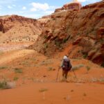 Guided trips 2020: Application dates & details