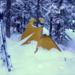 Registration now open for select guided trips